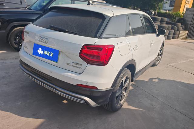 Audi Q2L e-tron 2020 imagen de coche #10