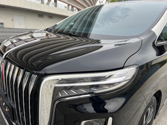 HongQi HQ9 2023 car image #10