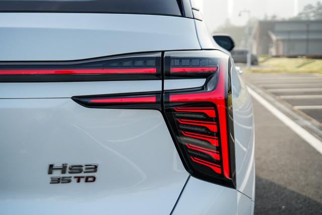 HongQi HS3 2023 immagine di auto #10