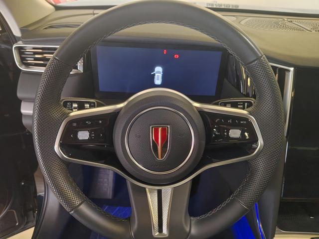 HongQi HS7 PHEV 2024 #10 HongQi HS7 PHEV 2024 car image #10