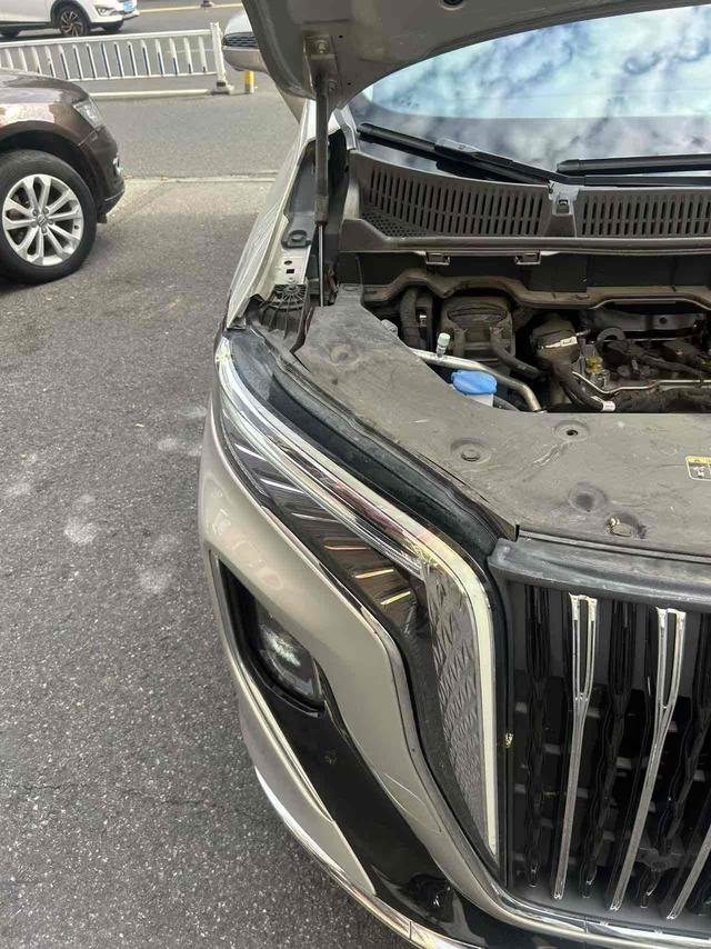 HongQi HQ9 2022 immagine di auto #10