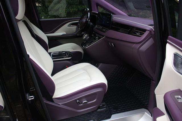 HongQi HQ9 2023 صورة سيارة #10