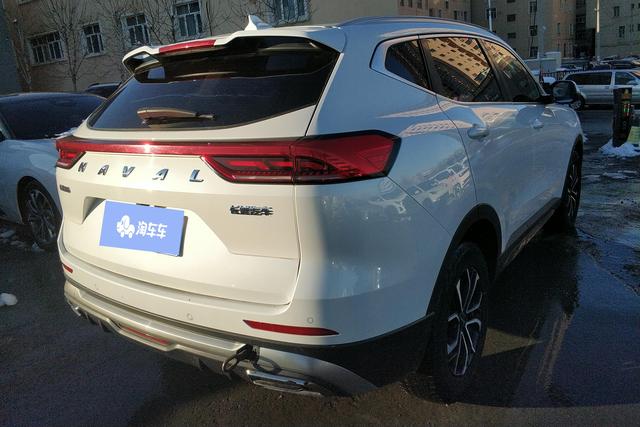 Haval H6 2022 immagine di auto #10