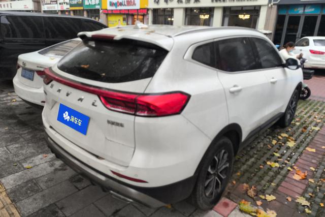 Haval H6 2021 car image #10