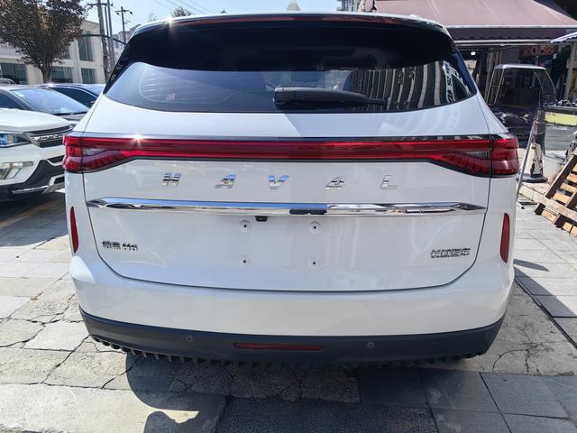 Haval H6 2021 car image #10