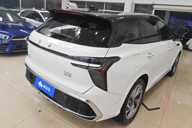 HongQi HS3 2023 immagine di auto #10