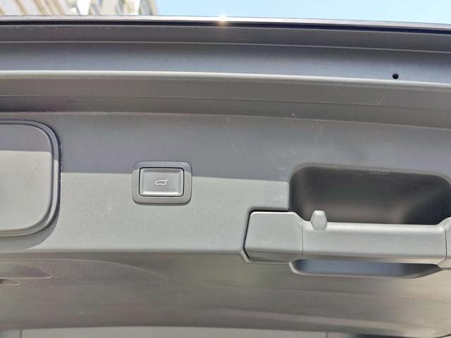 HongQi HQ9 2023 #10 HongQi HQ9 2023 car image #10