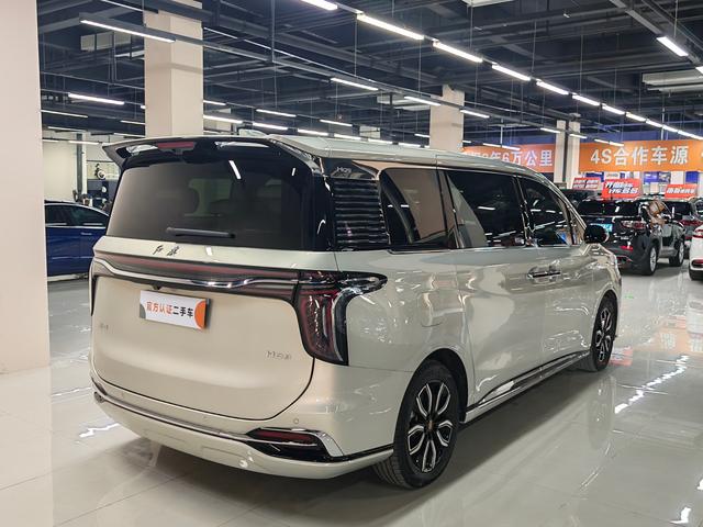 HongQi HQ9 2023 car image #10