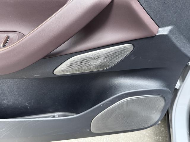 NIO EC7 2024 immagine di auto #10