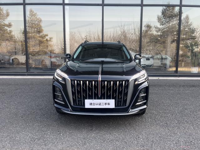 HongQi HS3 2024 #10 HongQi HS3 2024 car image #10