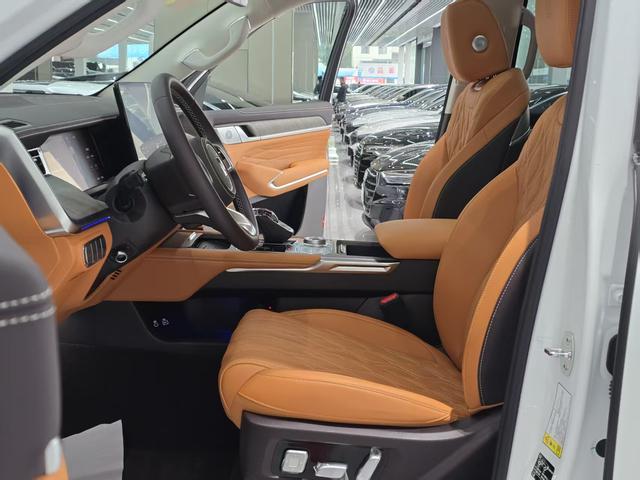 Tank 500 2024 car image #10