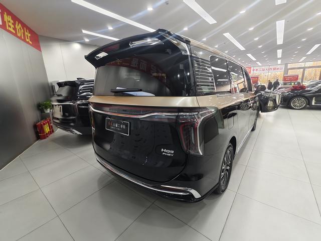 HongQi HQ9 PHEV 2024 #10 HongQi HQ9 PHEV 2024 car image #10