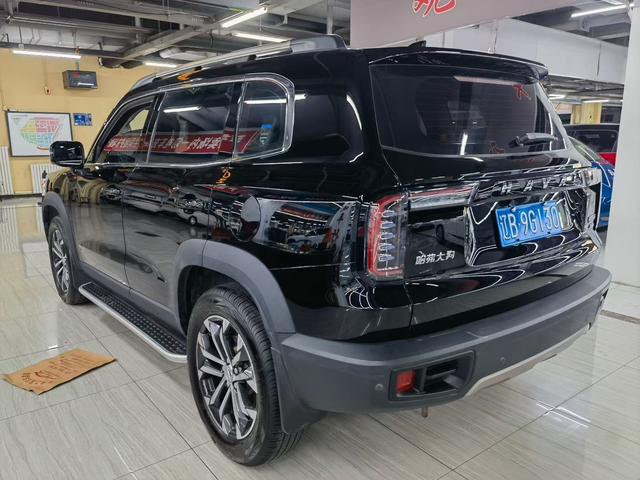 Haval X Dog / Dargo 2023 car image #10
