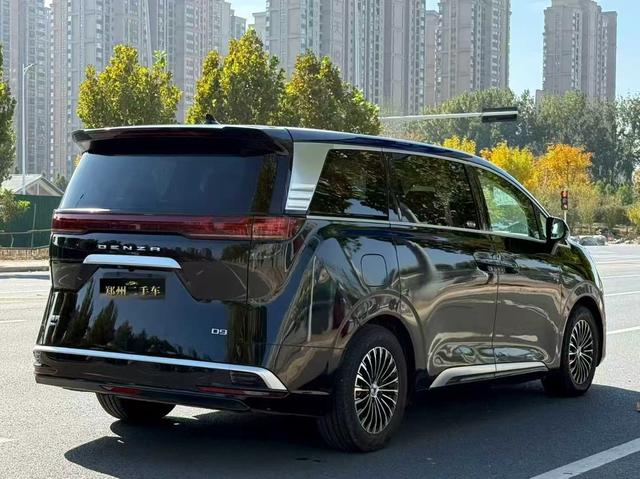 Denza X 2023 car image #10