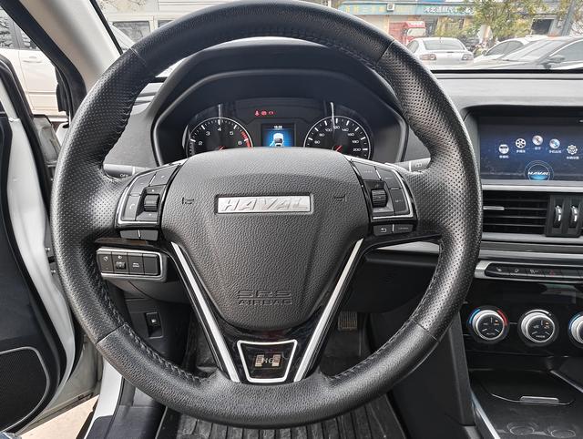 Haval H6 2019 immagine di auto #10