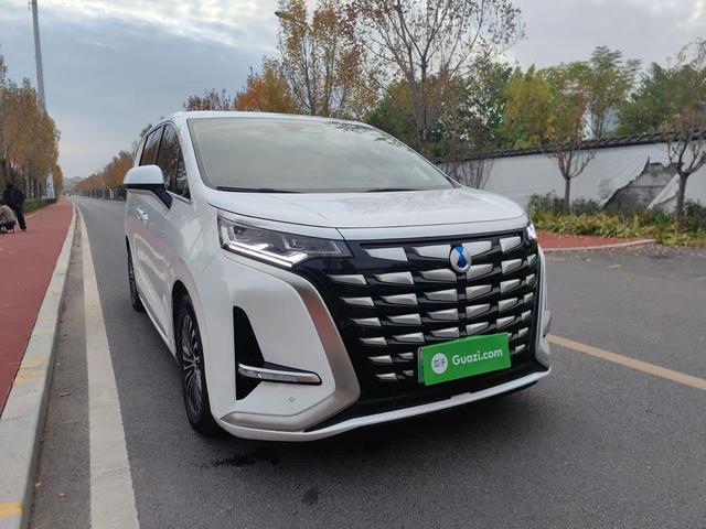 Denza X 2023 car image #10