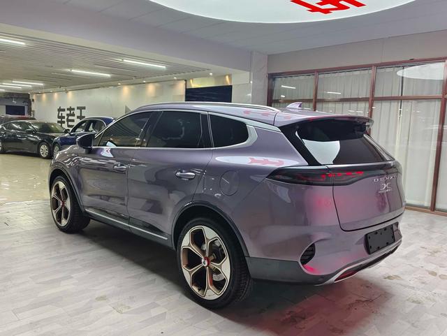 Denza N8 2021 car image #10