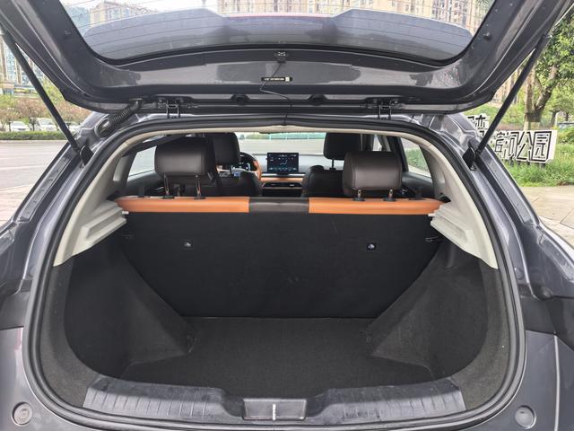 BYD M9 2021 #10 BYD M9 2021 car image #10