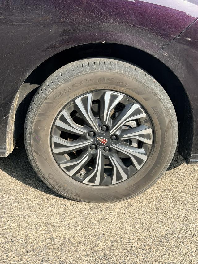 HongQi HQ9 PHEV 2025 #10 HongQi HQ9 PHEV 2025 car image #10