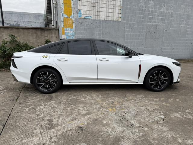 HongQi ShengShi 2023 #10 HongQi ShengShi 2023 car image #10