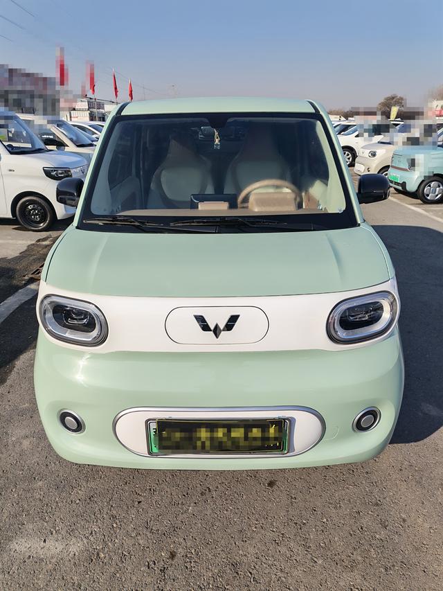 Wuling Hongguang MINI EV 2024 immagine di auto #10