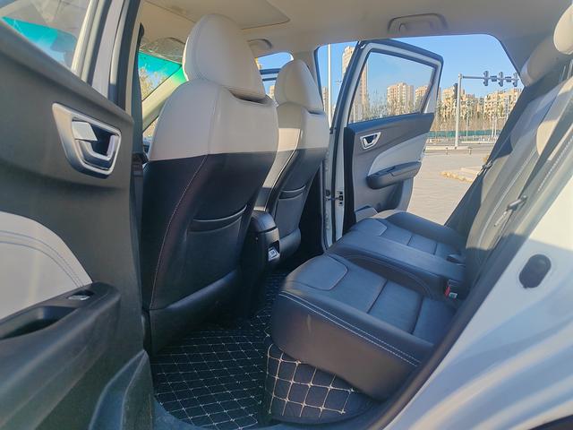 Livan Maple 30X 2021 изображение автомобиля #10