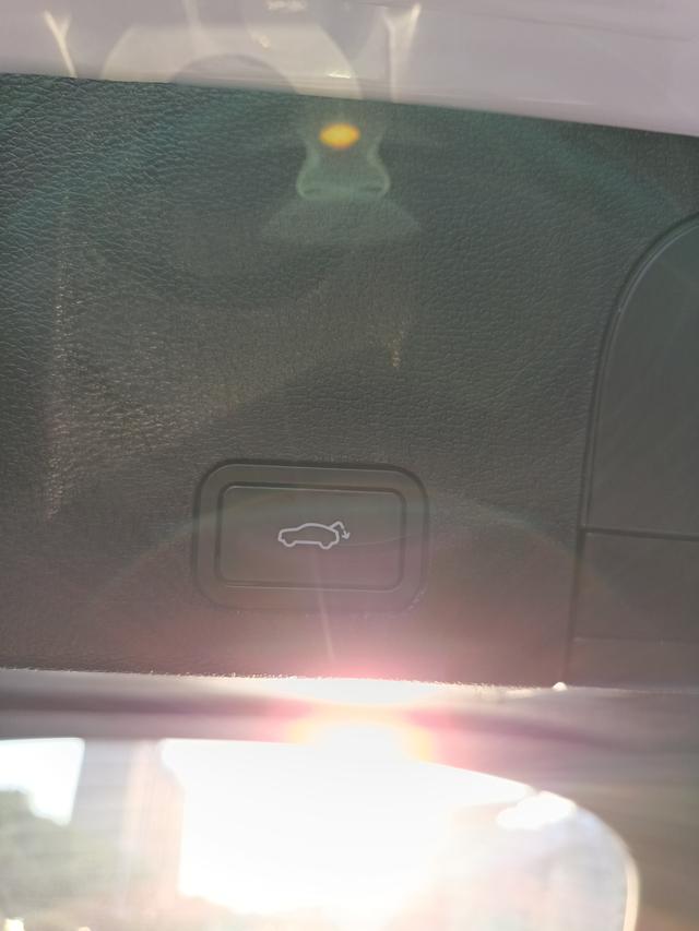 GEELY Tugella S 2021 car image #10