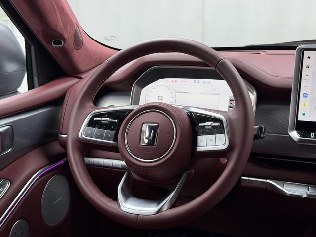 Tank 700 New Energy 2025 immagine di auto #10