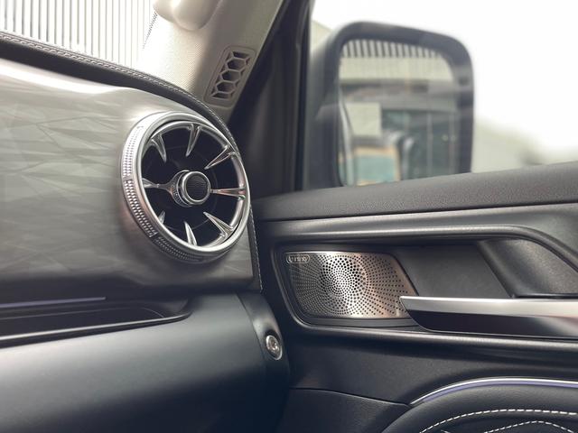 Tank 300 2023 car image #10