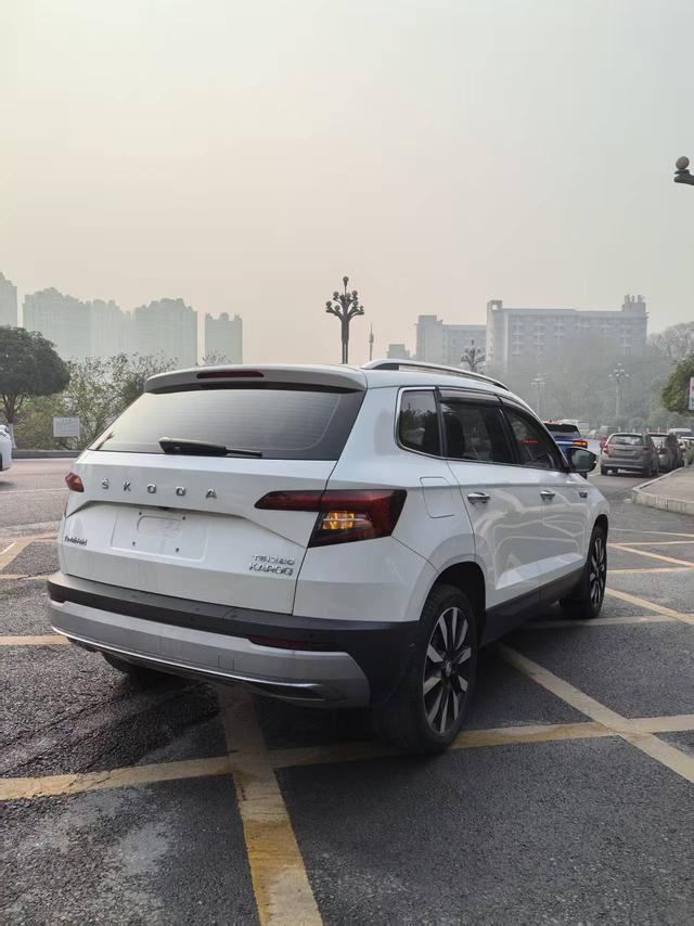 Skoda Karoq 2021 car image #10