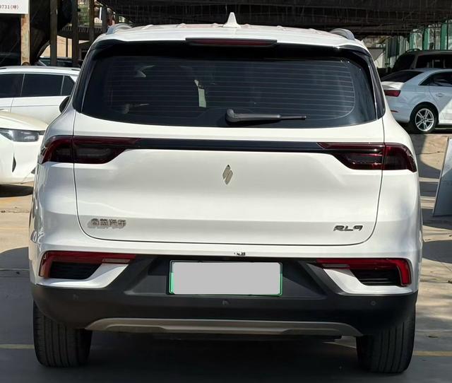 睿蓝汽车 睿蓝9 2024 汽车图片 #10