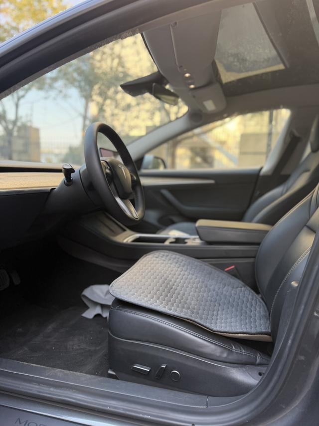 Tesla Model 3 2020 car image #10
