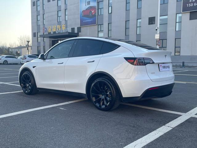 Tesla Model Y 2023 #10 Tesla Model Y 2023 car image #10