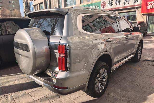 Tank 500 New Energy 2024 car image #10