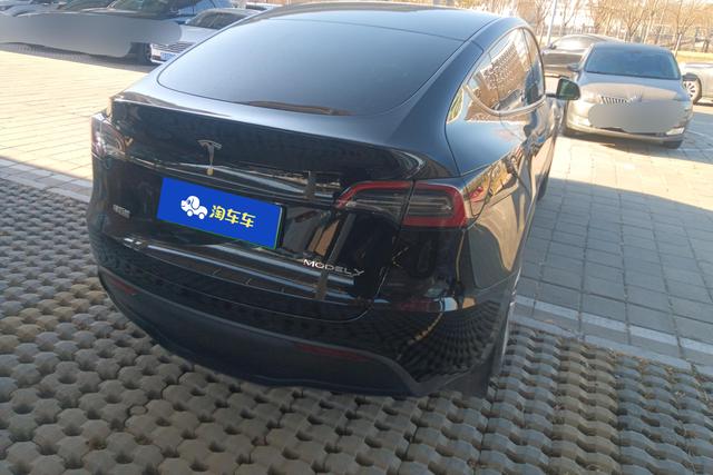 Tesla Model Y 2023 car image #10