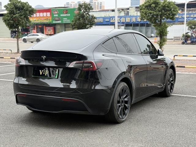 Tesla Model Y 2022 car image #10