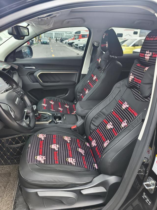 Haval H6 2019 car image #10