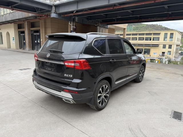 Forthing JOYEAR X5 2017 car image #10