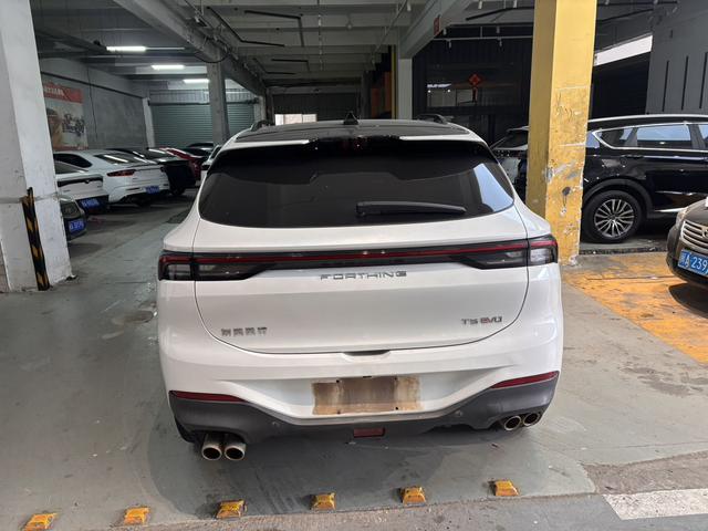 Forthing T5 EVO 2021 #10 Forthing T5 EVO 2021 car image #10