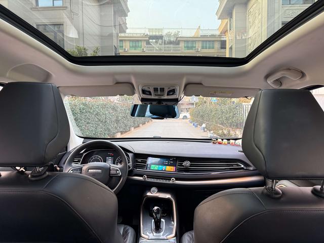 Haval H6 2020 car image #10