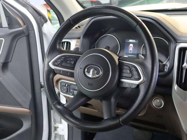 Great Wall Poer 2020 #10 Great Wall Poer 2020 car image #10