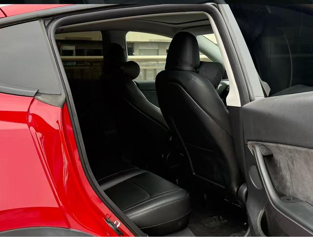 Tesla Model Y 2023 car image #10