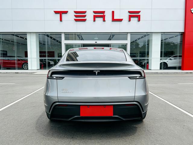 Tesla Model Y 2025 #10 Tesla Model Y 2025 car image #10