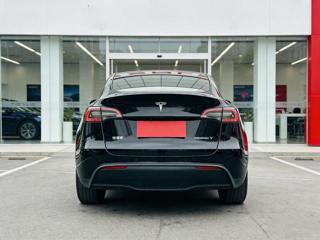 Tesla Model Y 2023 car image #10