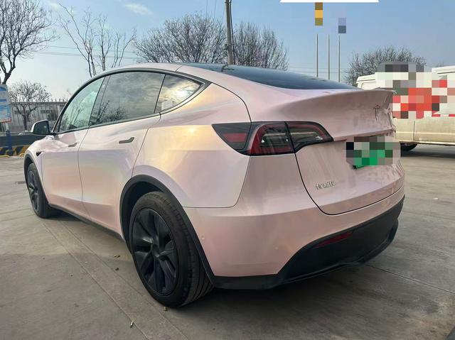 Tesla Model Y 2023 car image #10