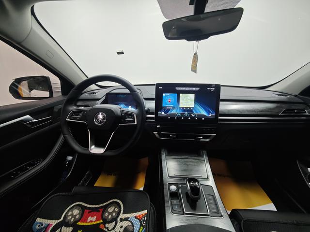 BYD Qin Pro New Energy 2019 car image #10