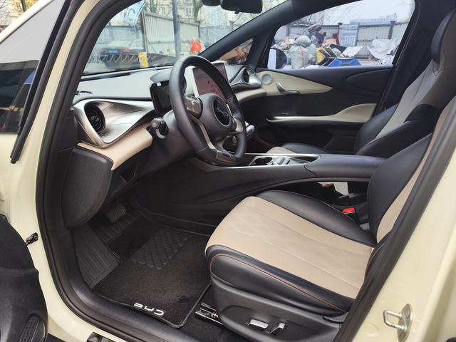 BYD Dolphin 2023 car image #10