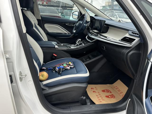 睿蓝汽车 枫叶80v PRO 2024 汽车图片 #10