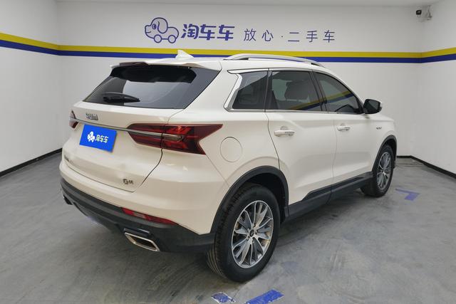 SWM G01 2019 immagine di auto #10