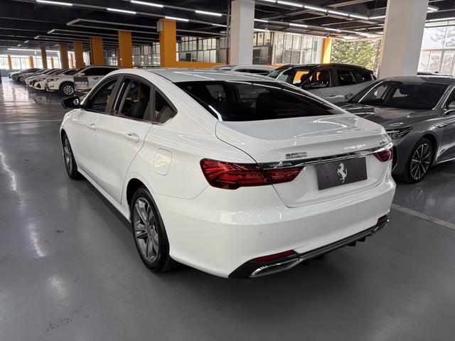 GEELY Binray 2020 #10 GEELY Binray 2020 car image #10